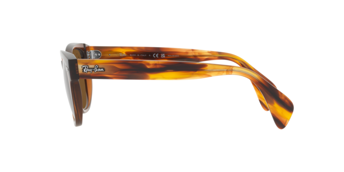 Occhiali da sole Ray-Ban RB0880S 664057 8056597720571 | Ottica Lux