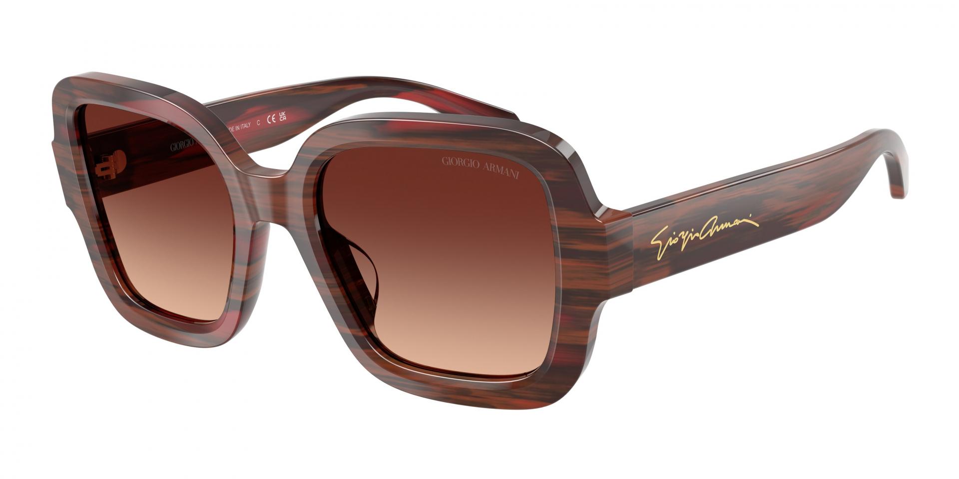 Sunglasses Giorgio Armani AR8268U 587587 8056262992159 | Ottica Lux