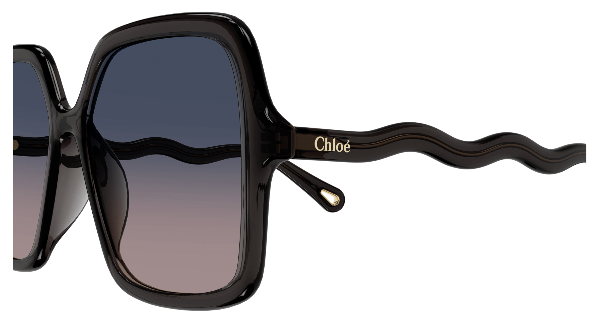 Occhiali da sole Chloé CH0086S 001 8056376395259 | Ottica Lux
