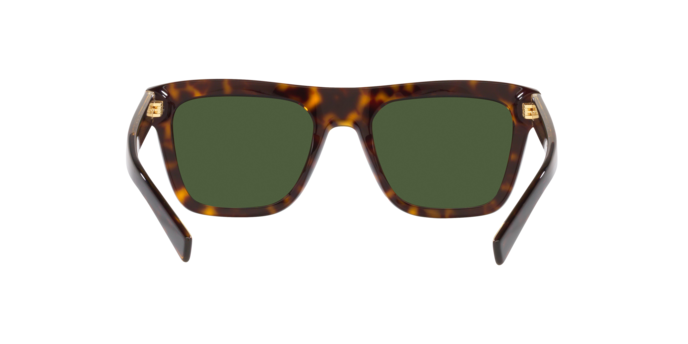 Sunglasses Dolce & Gabbana DG4420 502/71 8056597757805 | Ottica Lux