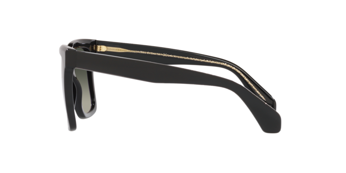Sunglasses Giorgio Armani AR8156 587571 8056597628143 | Ottica Lux