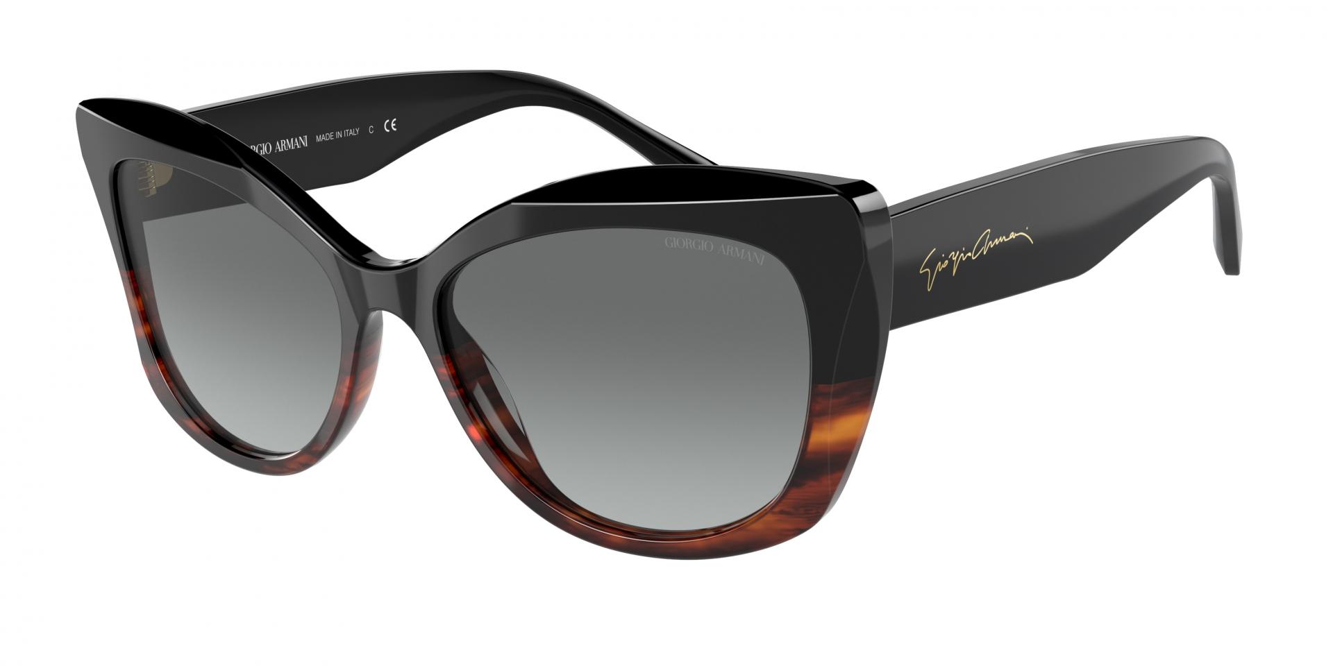 Occhiali da sole Giorgio Armani AR8161 592811 8056597628372 | Ottica Lux