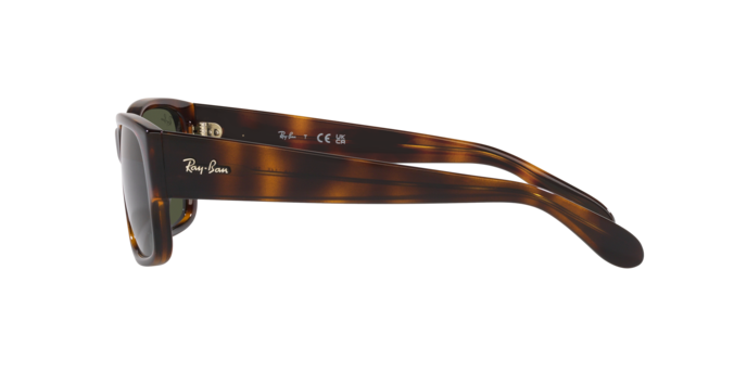 Sunglasses Ray-Ban RB4388 710/31 8056597719421 | Ottica Lux Sunglasses Ray-Ban RB4388 710/31 8056597719421 | Ottica Lux