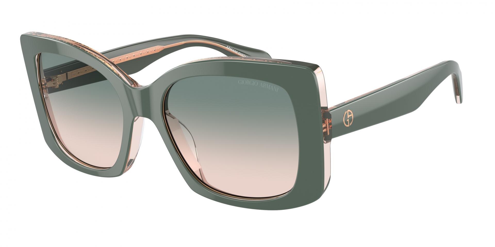 Occhiali da sole Giorgio Armani AR8208U 60762C 8056262047200 | Ottica Lux