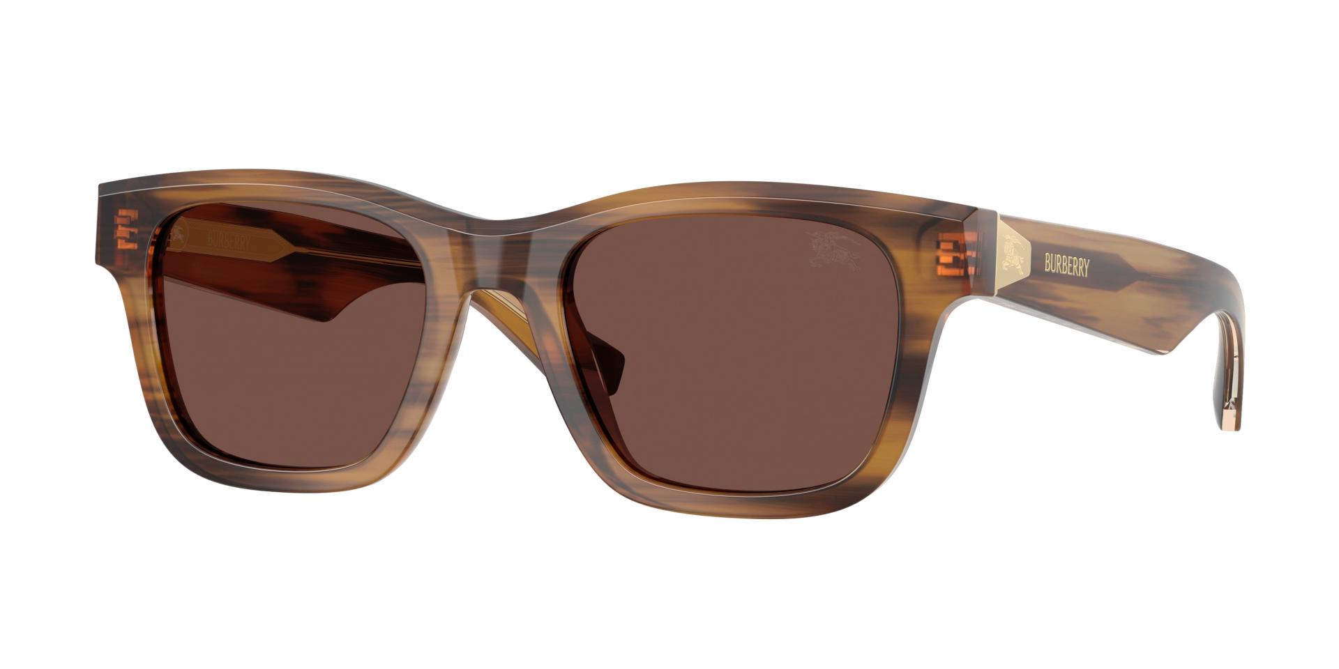 Occhiali da sole Burberry BE4504 425482 8056262961421 | Ottica Lux