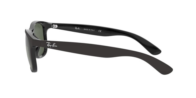 Occhiali da sole Ray-Ban RB4202 ANDY 606971 8053672188868 | Ottica Lux