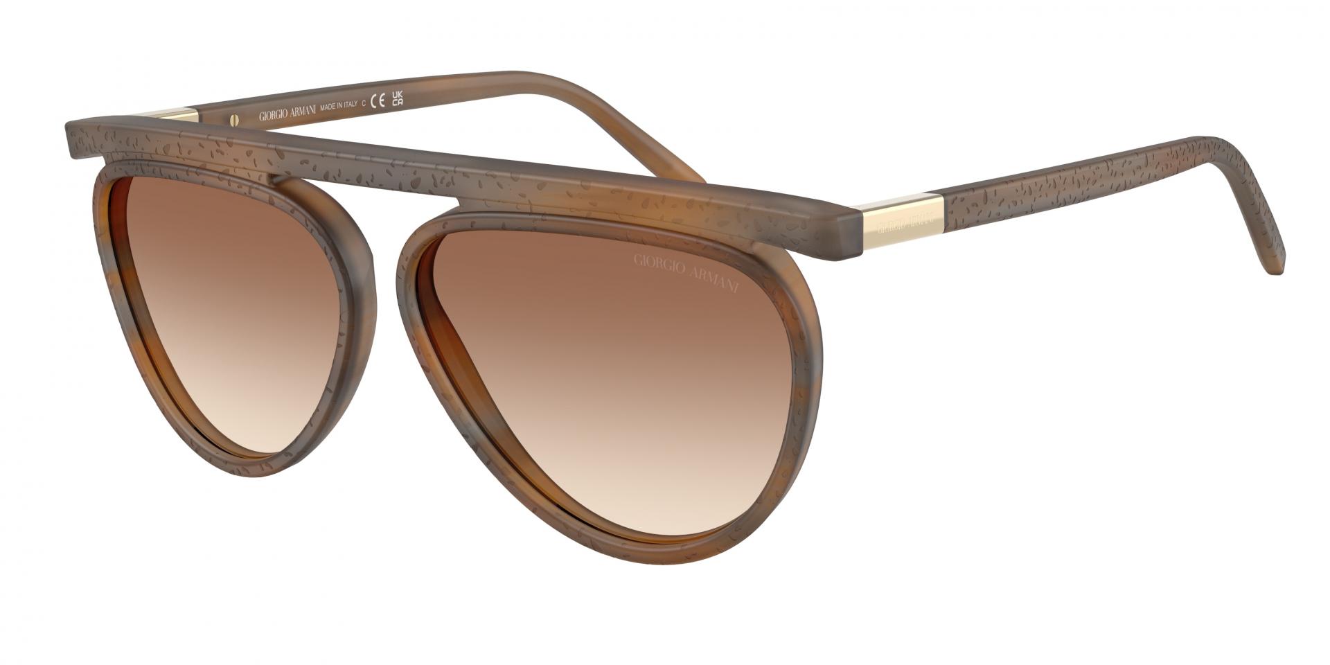 Sunglasses Giorgio Armani AR8262 64307Z 8056262910566 | Ottica Lux
