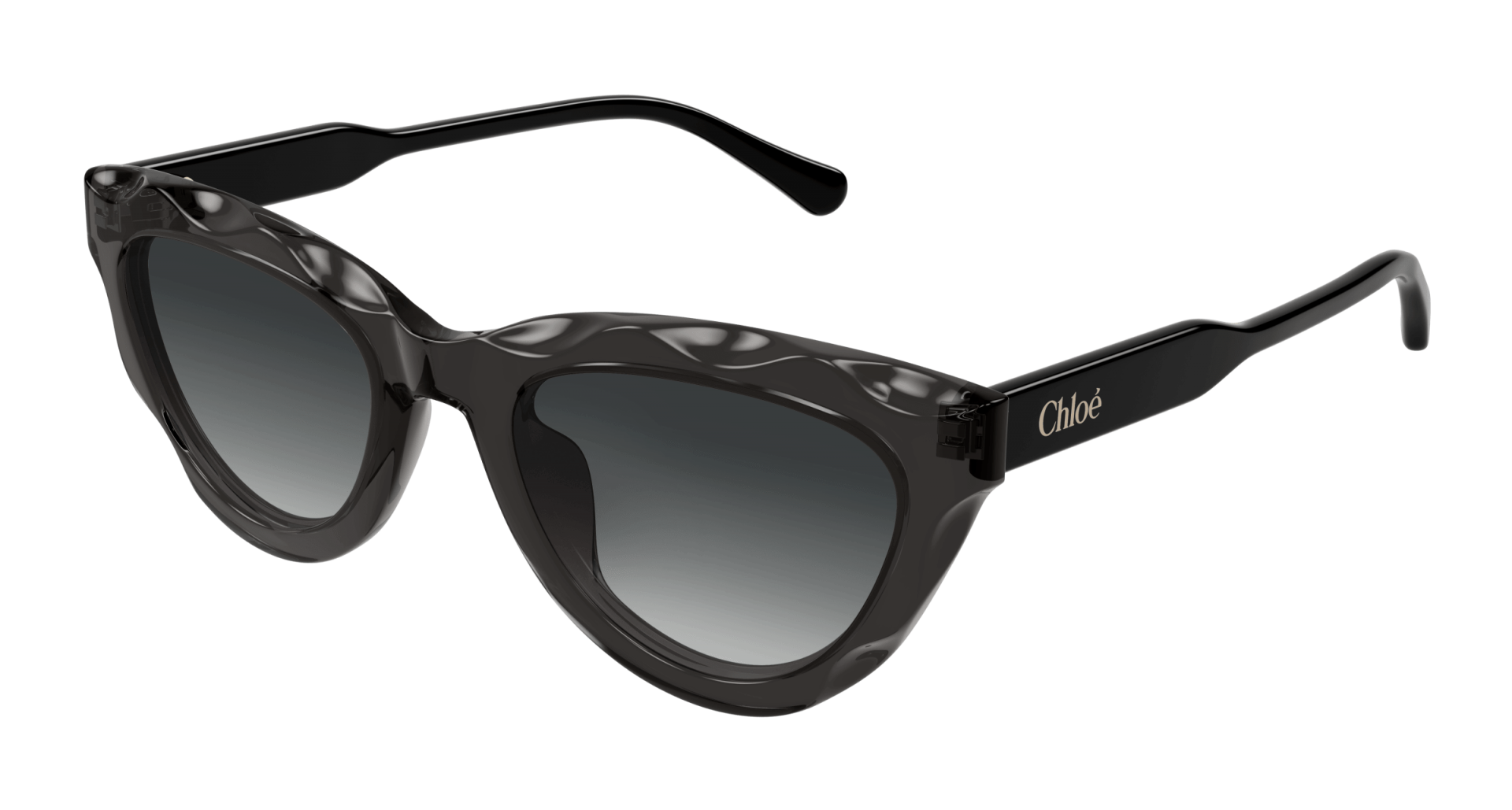 Sunglasses Chloé CH0294S 001 8056376561319 | Ottica Lux