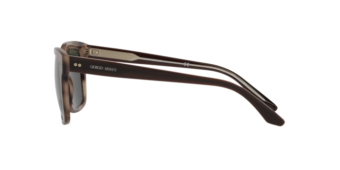 Occhiali da sole Giorgio Armani AR8138 573431 8056597335454 | Ottica Lux