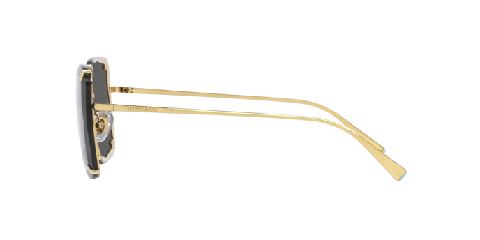 Sunglasses Tiffany & Co. TF3089 6002S4 8056597806664 | Ottica Lux