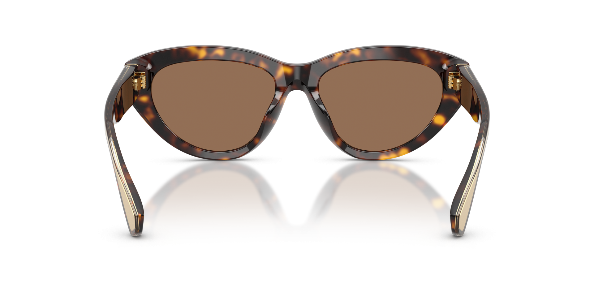 Sunglasses Dolce & Gabbana DG4558 502/73 8056266007408 | Ottica Lux