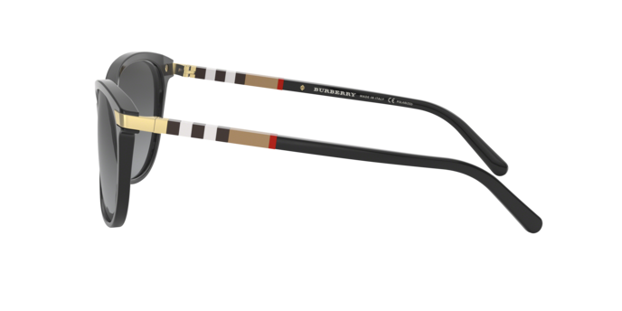 Occhiali da sole Burberry BE4216 3001T3 8053672995329 | Ottica Lux