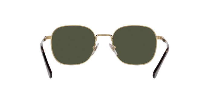 Occhiali da sole Persol PO1009S 515/31 8056597818834 | Ottica Lux
