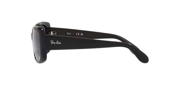 Sunglasses Ray-Ban RB4389 601/71 8056597718356 | Ottica Lux