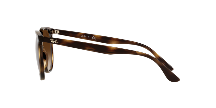 Sunglasses Ray-Ban RB4378 710/13 8056597626897 | Ottica Lux Sunglasses Ray-Ban RB4378 710/13 8056597626897 | Ottica Lux