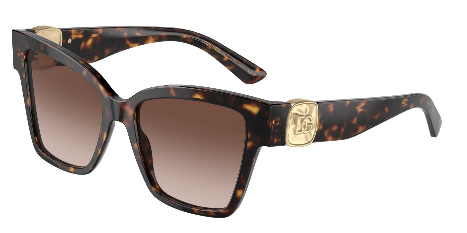 Sunglasses Dolce & Gabbana DG4470 502/13 8056262083260 | Ottica Lux