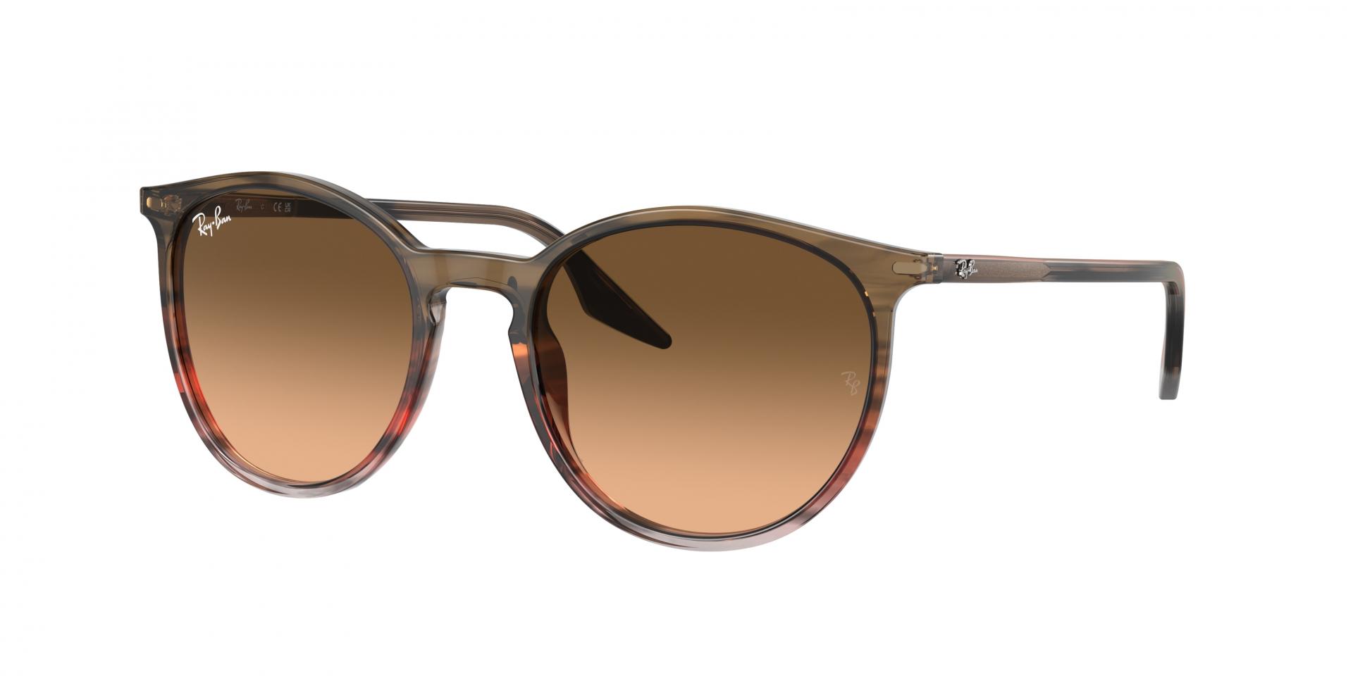 Occhiali da sole Ray-Ban RB2204 13953B 8056597936477 | Ottica Lux