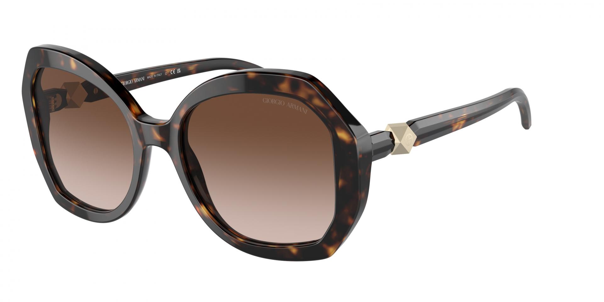 Occhiali da sole Giorgio Armani AR8180 502613 8056597834650 | Ottica Lux