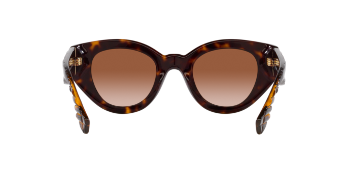 Sunglasses Burberry BE4390 MEADOW 300213 8056597831666 | Ottica Lux