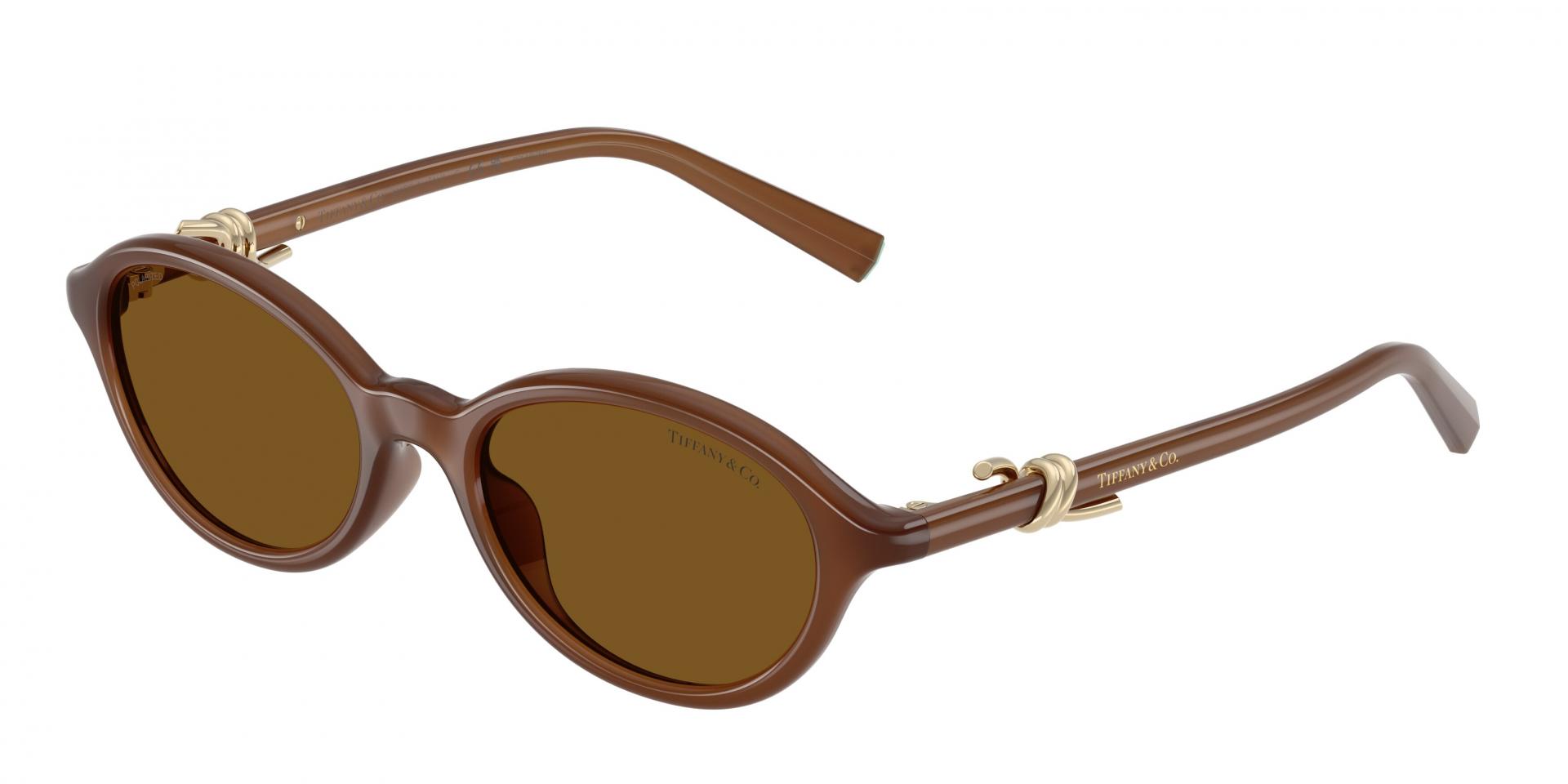 Sunglasses Tiffany & Co. TF4266U 847269 8056262943113 | Ottica Lux
