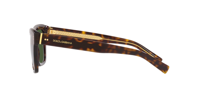 Sunglasses Dolce & Gabbana DG4420 502/71 8056597757805 | Ottica Lux