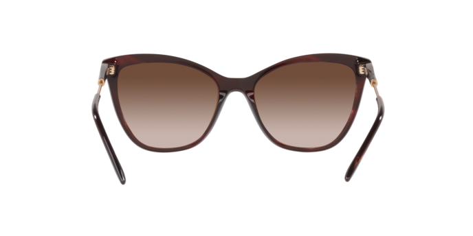 Occhiali da sole Giorgio Armani AR8186U 506081 8056262049358 | Ottica Lux