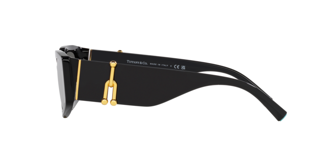 Sunglasses Tiffany & Co. TF4208U 8001S4 8056597852449 | Ottica Lux Sunglasses Tiffany & Co. TF4208U 8001S4 8056597852449 | Ottica Lux