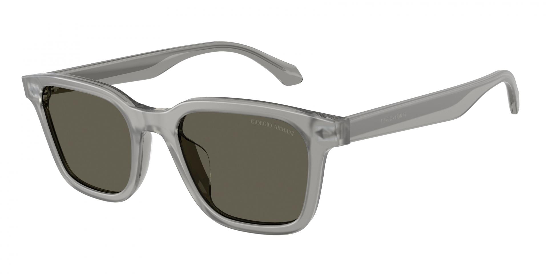 Occhiali da sole Giorgio Armani AR8265U 647573 8056262991893 | Ottica Lux