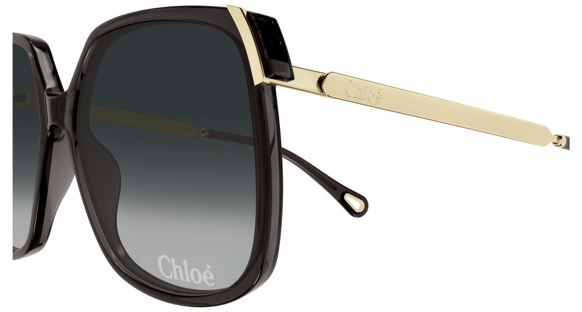 Occhiali da sole Chloé CH0286S 001 8056376565553 | Ottica Lux