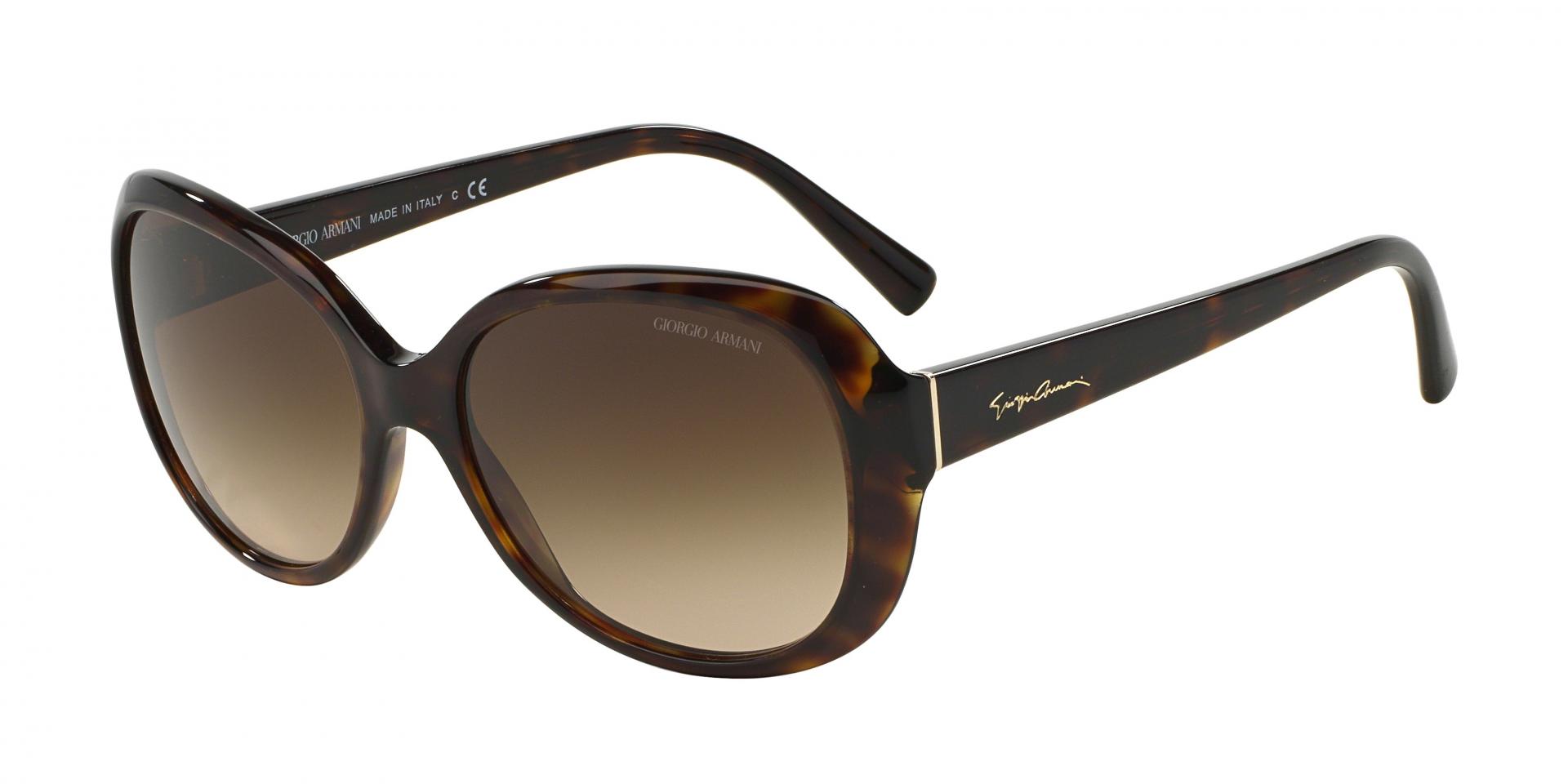 Occhiali da sole Giorgio Armani AR8047 502613 8053672372731 | Ottica Lux