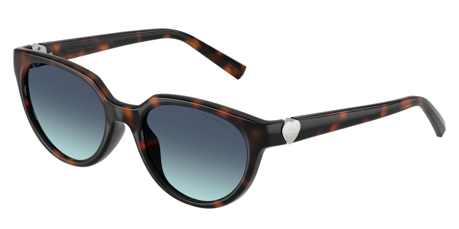 Sunglasses Giorgio Armani ar8237 623214 8056262471470 | Ottica Lux