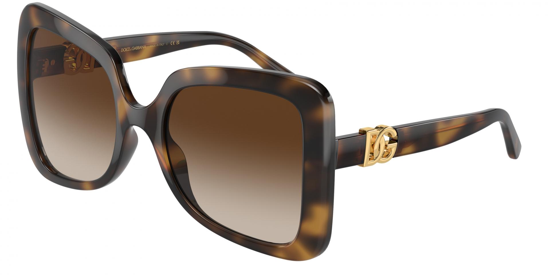 Occhiali da sole Dolce & Gabbana DG6193U 502/13 8056597948647 | Ottica Lux