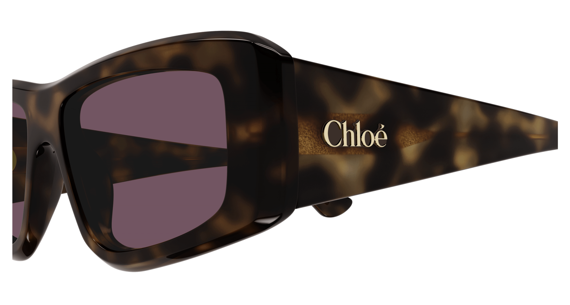 Occhiali da sole Chloé CH0299S 002 8056376561555 | Ottica Lux