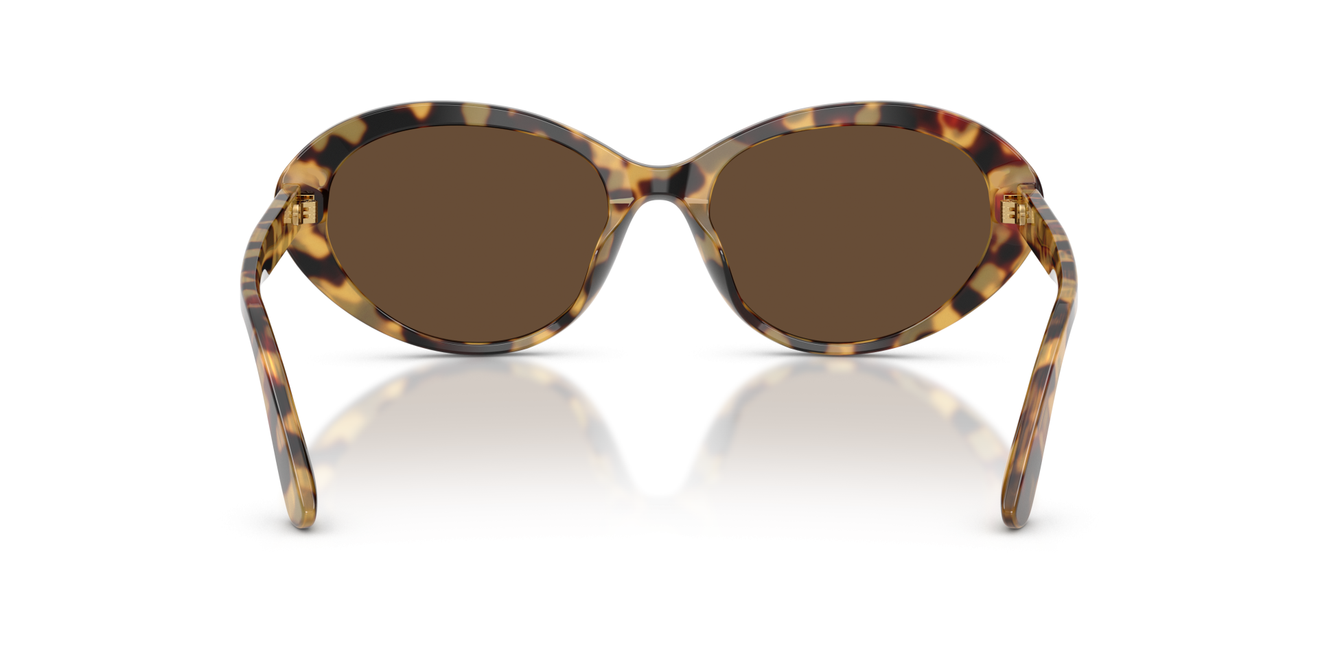 Sunglasses Dolce & Gabbana DG4570 512/73 8056266003653 | Ottica Lux