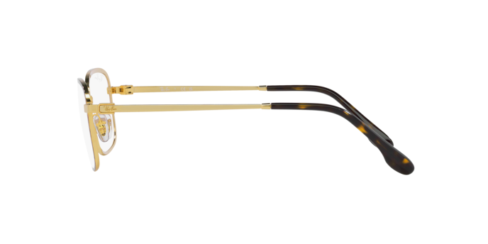 Occhiali da vista Ray-Ban RX6495 2945 8056597842501 | Ottica Lux