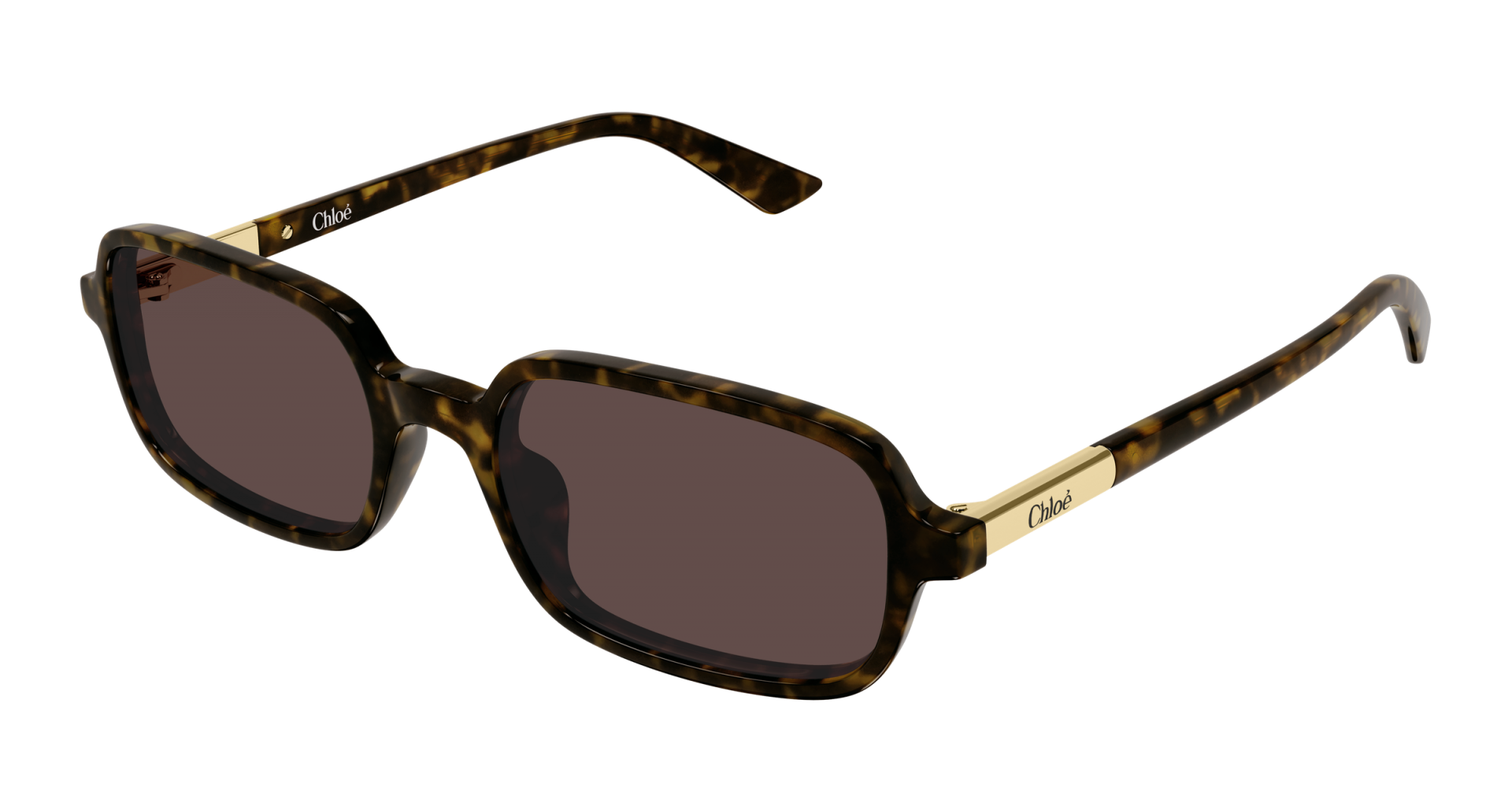 Occhiali da sole Bottega Veneta BV1439S 005 8056376649567 | Ottica Lux