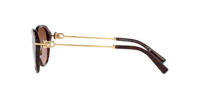 Occhiali da sole Tiffany & Co. TF4210D 80153B 8056597853248 | Ottica Lux