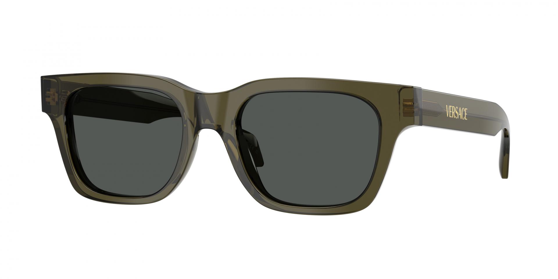 Occhiali da sole Giorgio Armani AR6190 5875R5 8056262990902 | Ottica Lux
