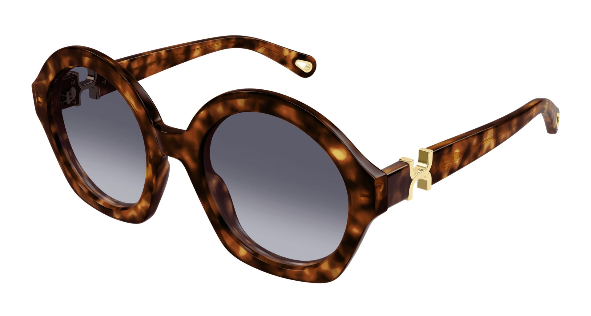 Sunglasses Chloé CH0302S 002 8056376561685 | Ottica Lux