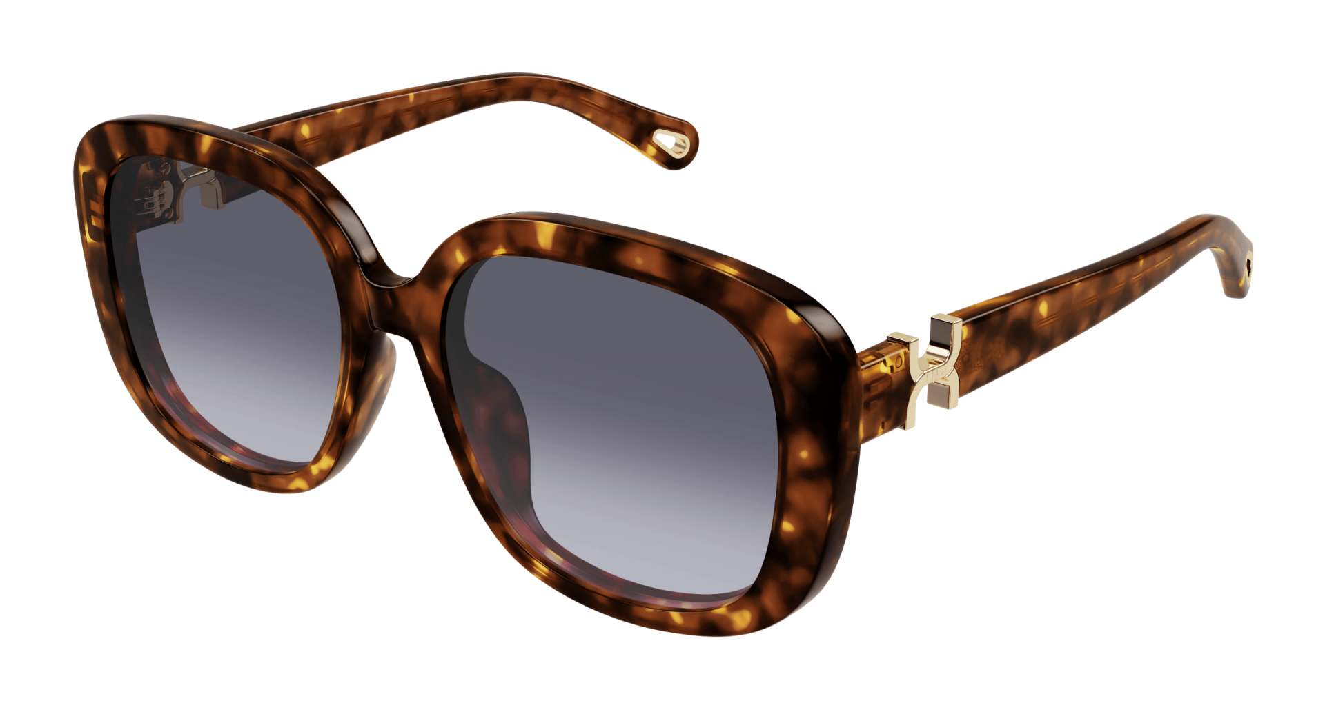 Occhiali da sole Chloé CH0303SK 002 8056376561739 | Ottica Lux