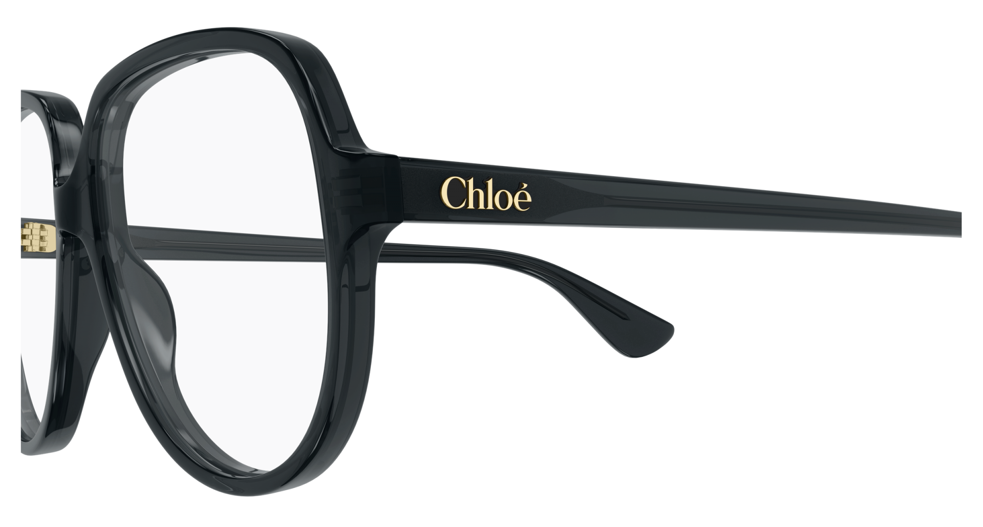Occhiali da vista Chloé CH0391O 001 8056376700954 | Ottica Lux