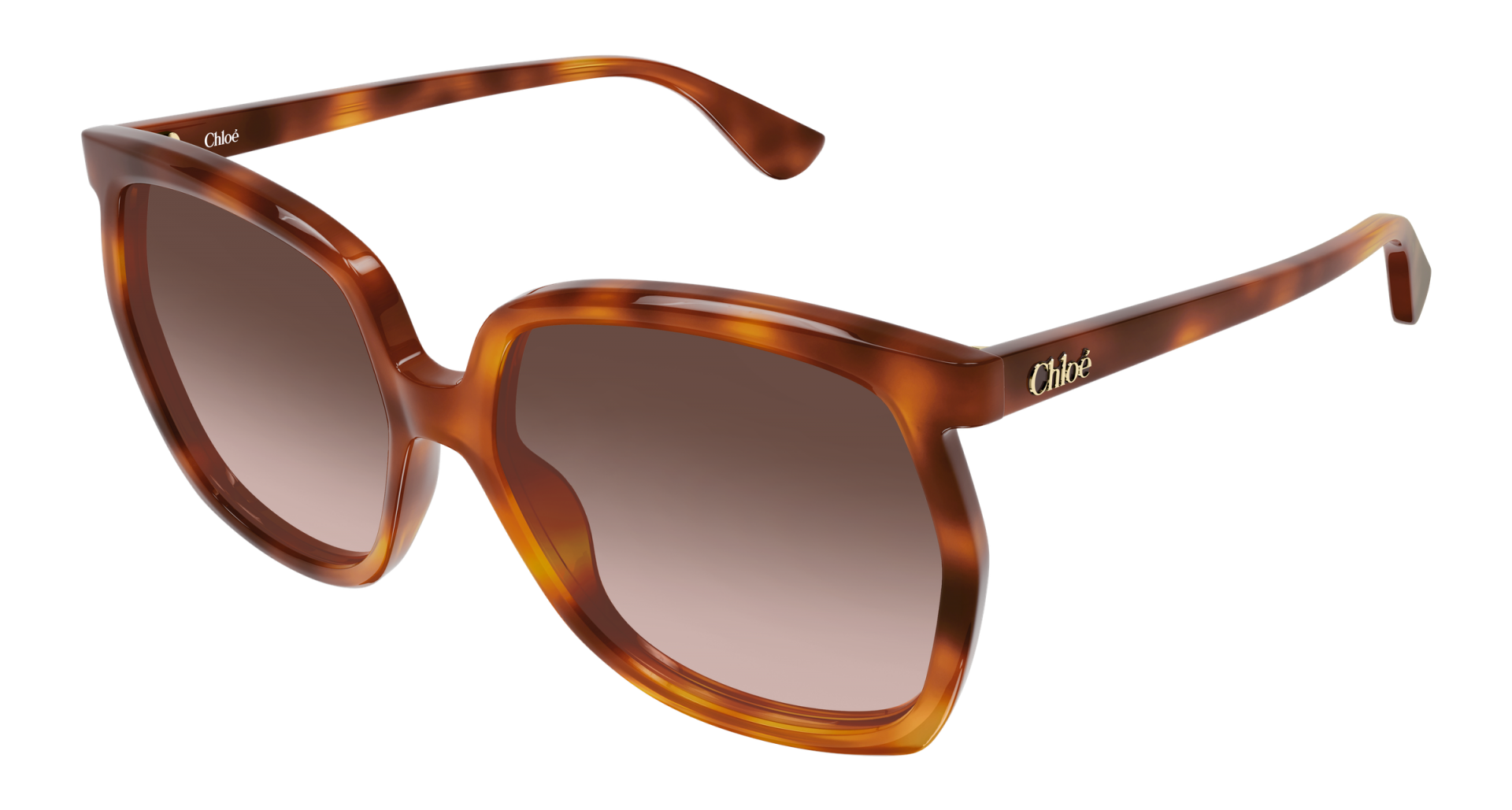 Occhiali da sole Balenciaga BB0510S 002 8056376686821 | Ottica Lux