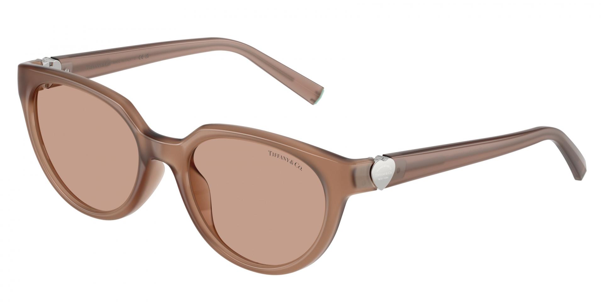 Sunglasses Prada PR A01S 13P60B 8056262346648 | Ottica Lux