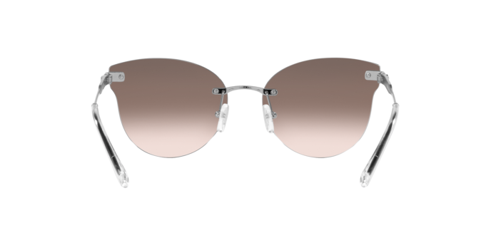 Sunglasses Michael Kors MK1130B ASTORIA 10158Z 0725125395885 | Ottica Lux