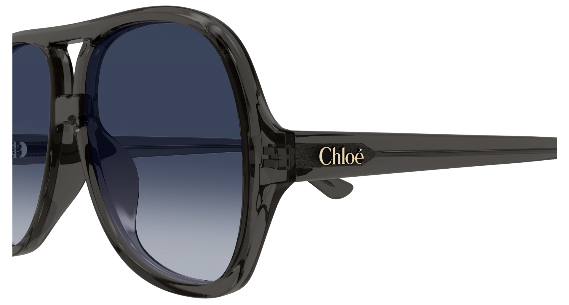 Sunglasses Chloé CH0289S 001 8056376561043 | Ottica Lux