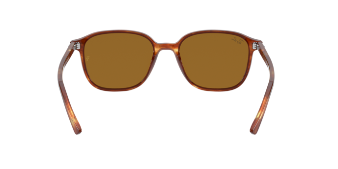 Occhiali da sole Ray-Ban RB2193 LEONARD 954/33 8056597317962 | Ottica Lux