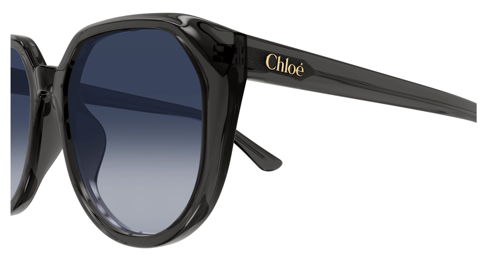Occhiali da sole Chloé CH0291SK 001 8056376561128 | Ottica Lux