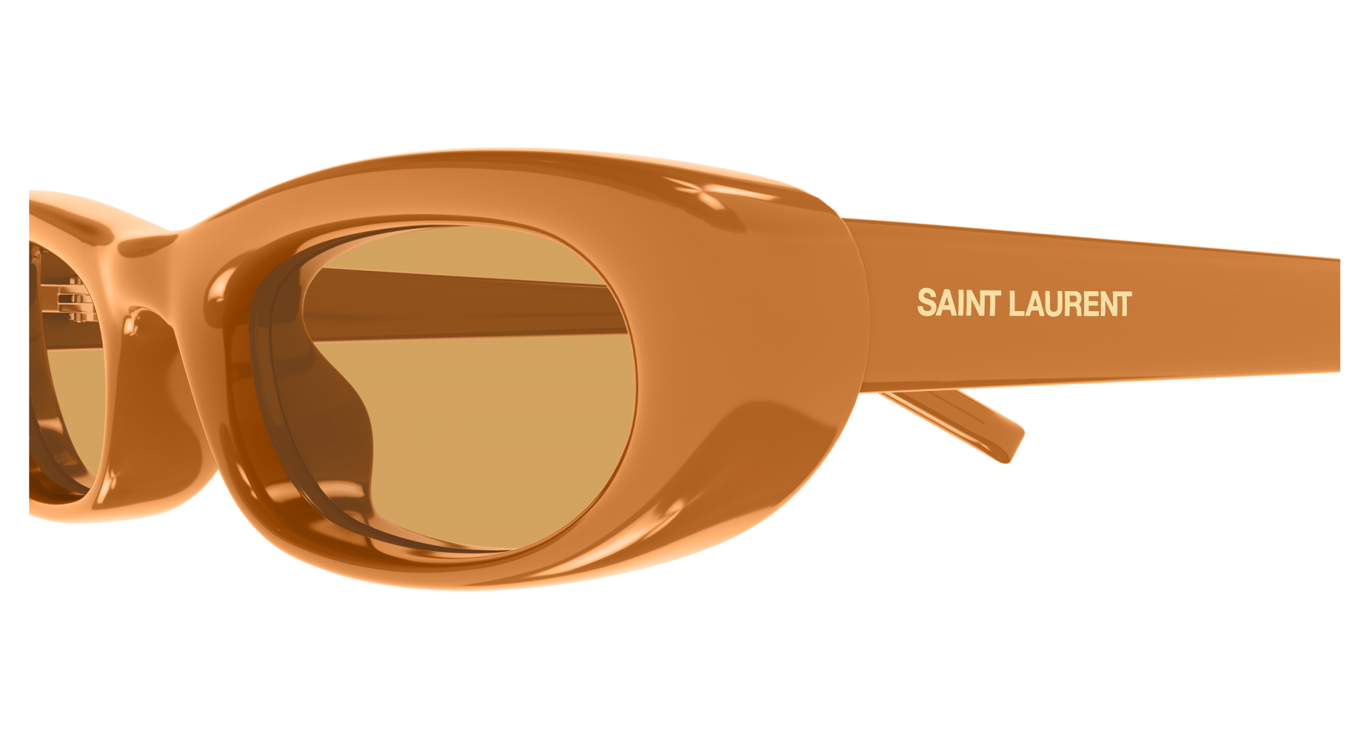 Sunglasses Saint Laurent SL 557 SHADE PLUMP 005 8056376706154 | Ottica Lux