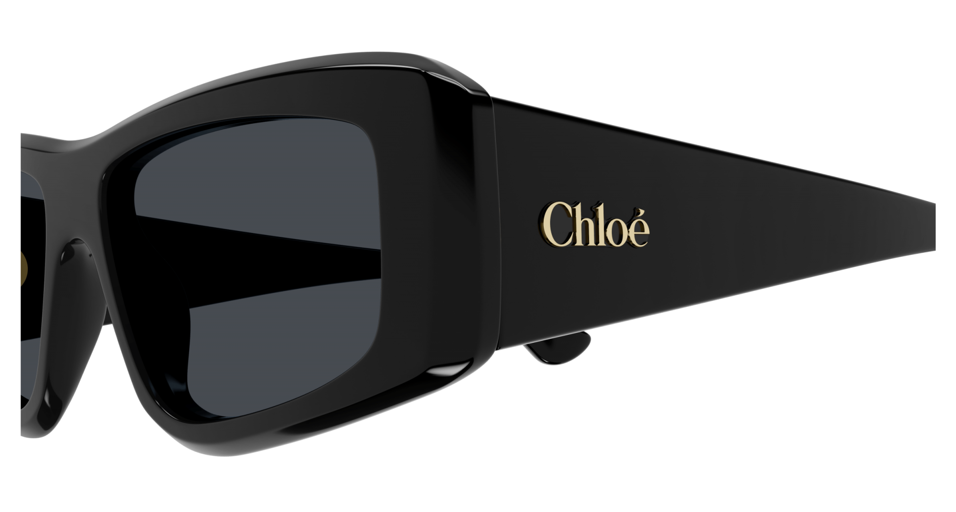 Occhiali da sole Chloé CH0299S 001 8056376561548 | Ottica Lux