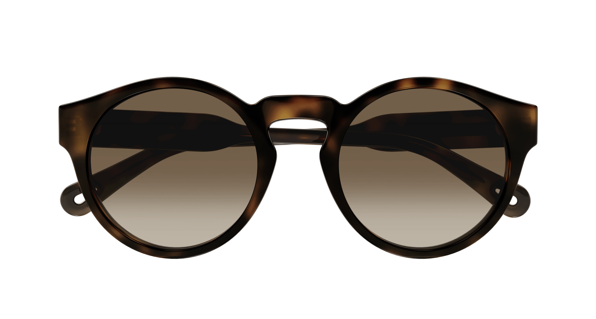 Occhiali da sole Chloé CH0158S 002 8056376444711 | Ottica Lux